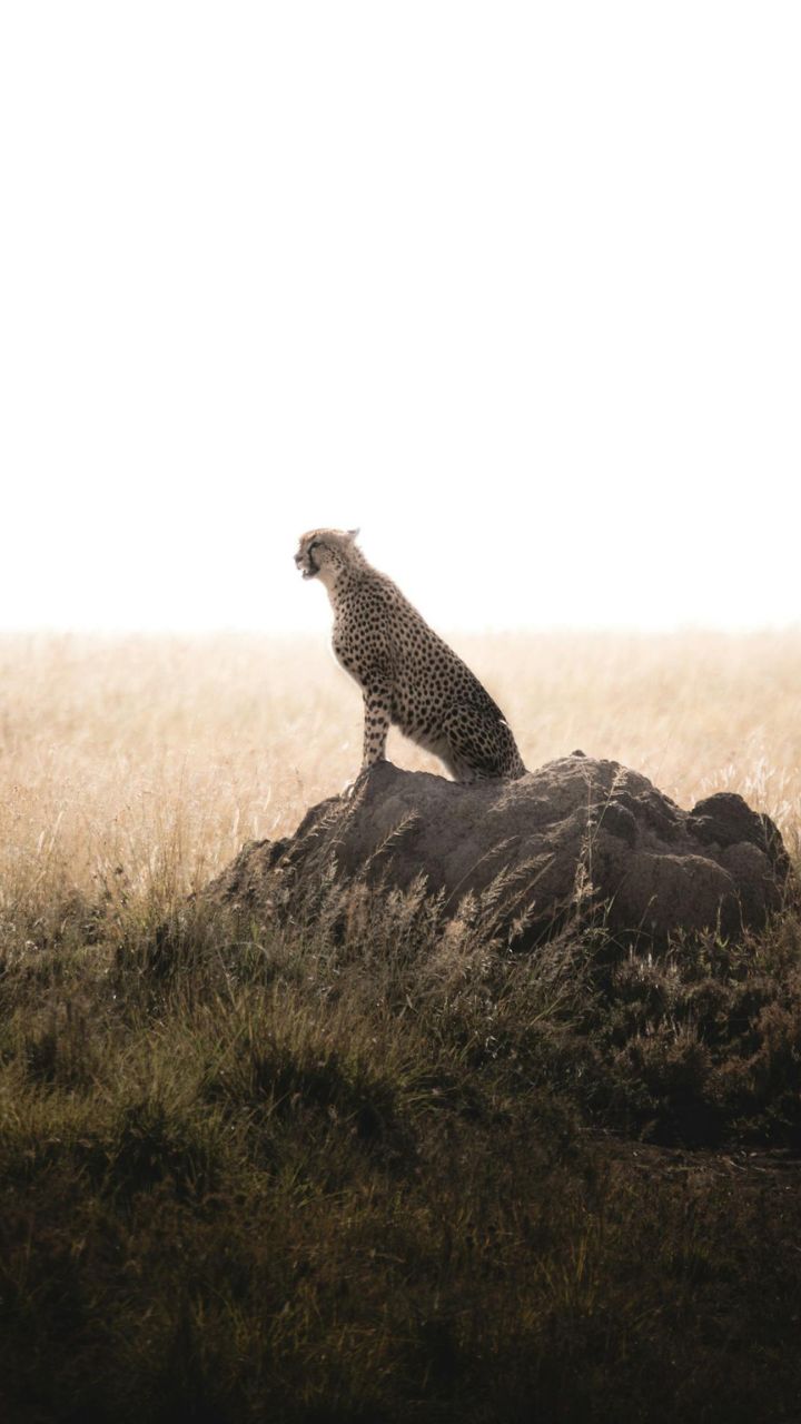 Tanzania