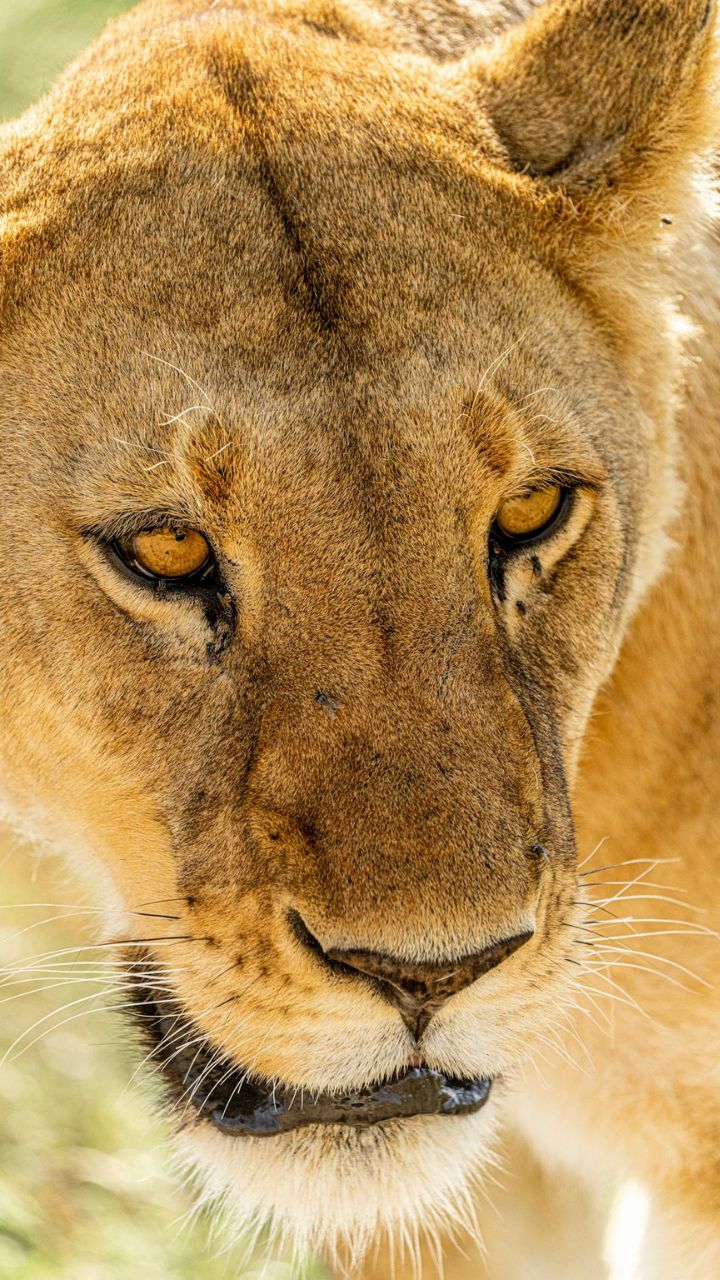 Tanzania